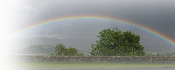 Regenbogen